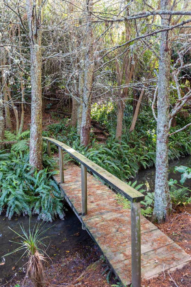 384 Clifton Road Whitford_31