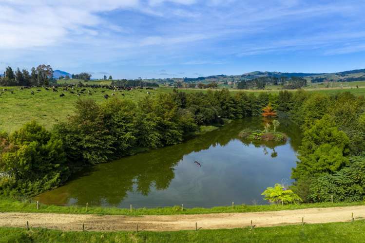 18 Hodgson Road Te Pahu_18