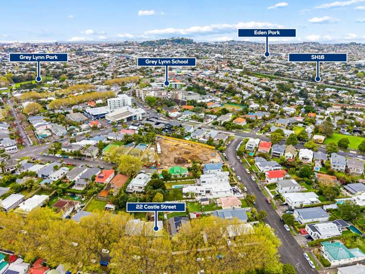 22 Castle Street Grey Lynn_16