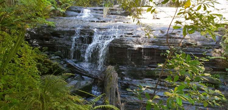 448 Moir Hill Road Warkworth_16