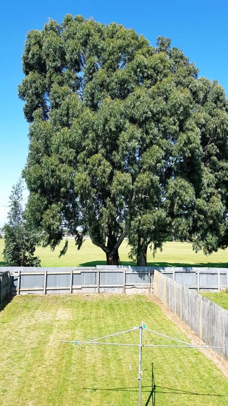 A/483 Yarrow Street 10545_13