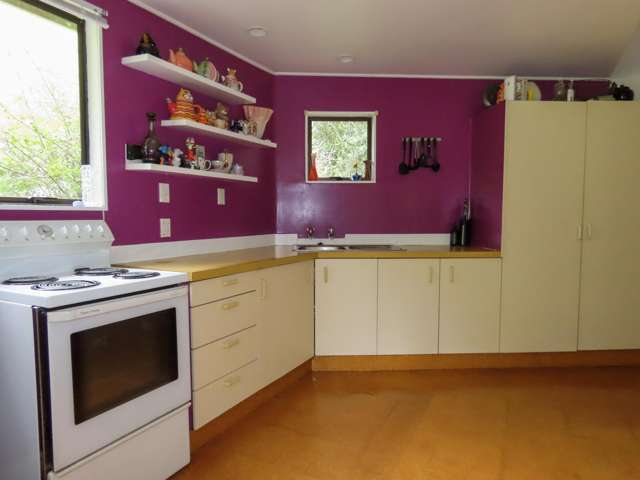 37 Franklyn Street Blacks Point_3