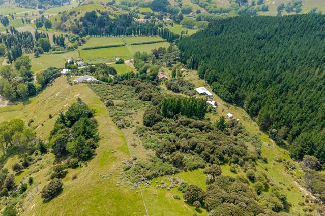 4/4101 Masterton Castle Point Rd, Tinui Masterton_4