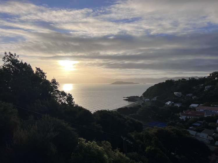 24 Korimako Road Eastbourne_27