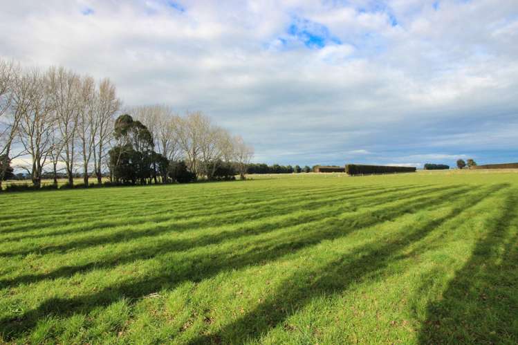 82 Clark Road Edendale_8