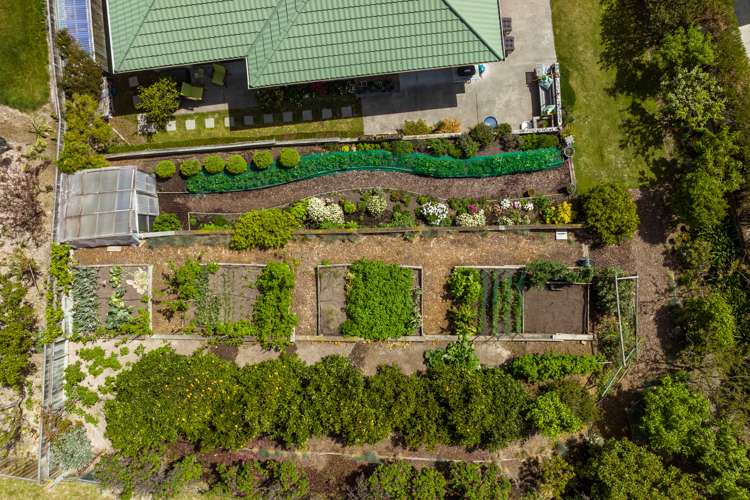 57 Forest Park Drive Witherlea_36