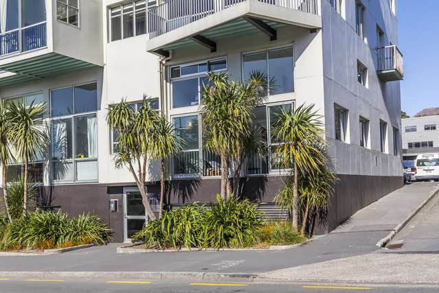 1u/51 Webb Street Mount Cook_1