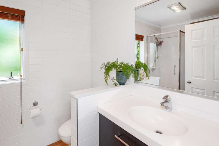 54 Sinclair Road Whakamarama_7