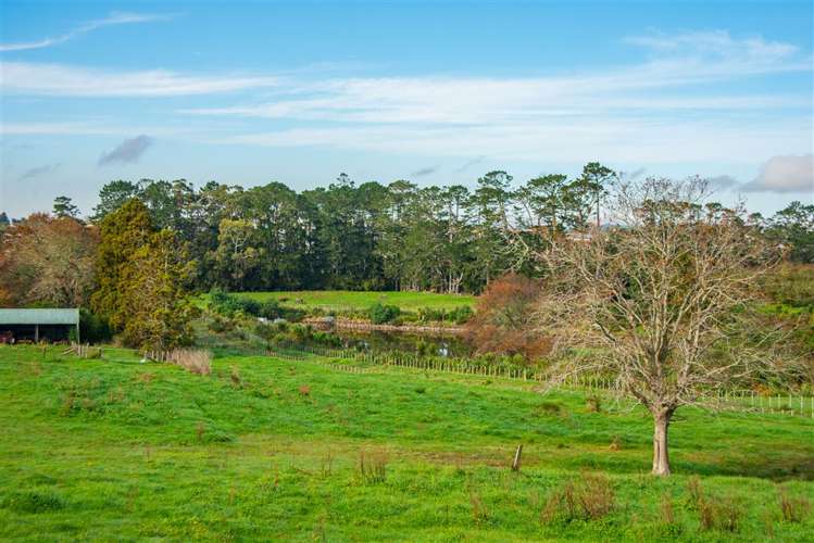 14 Irongate Avenue Ranui_36