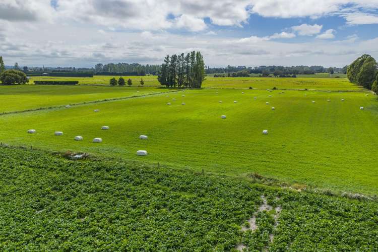 249 Plaskett Road Fernside_39