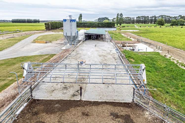 94 Brogdens Road Lowcliffe_17