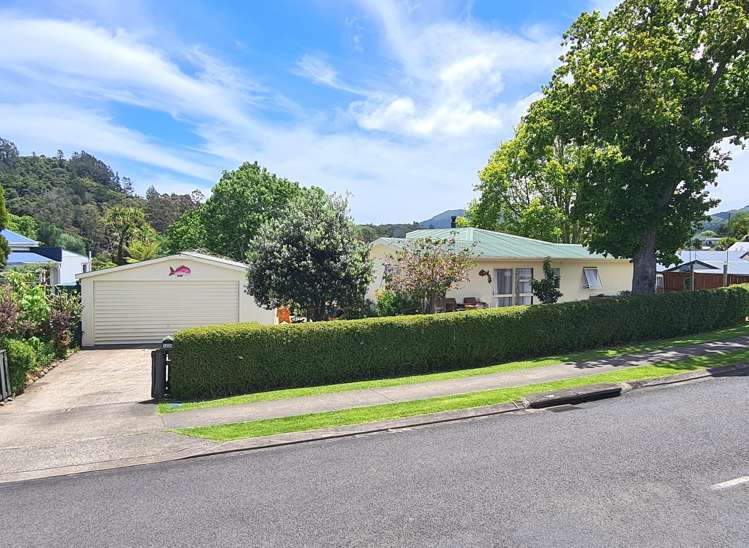 1225 Rings Road Coromandel_3