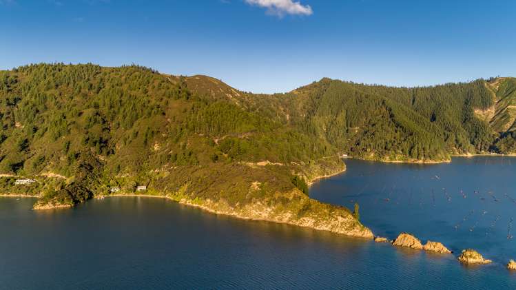 1622 Tumbledown Bay Road Port Underwood_15