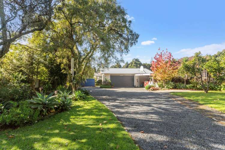 56 David Avenue Hillpark_27