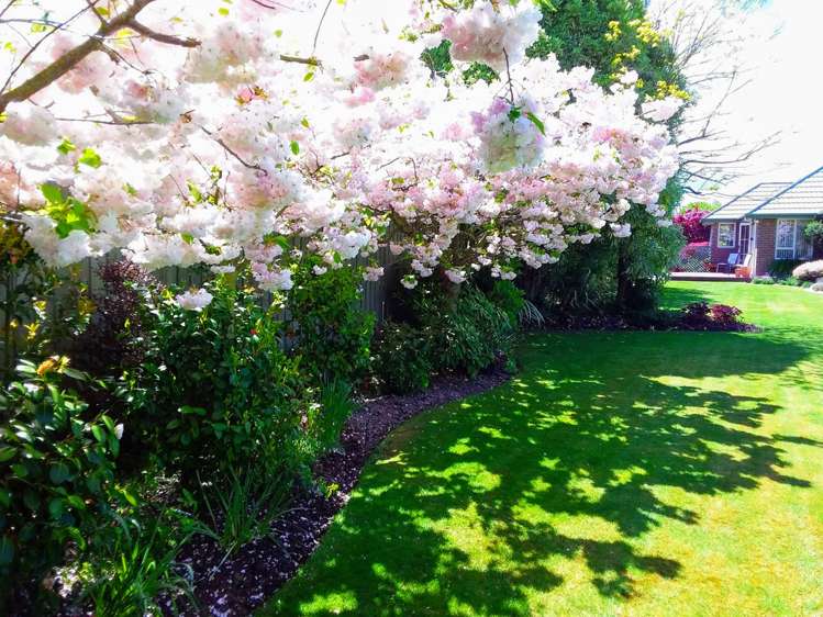 5 Cherry Lane Tinwald_13