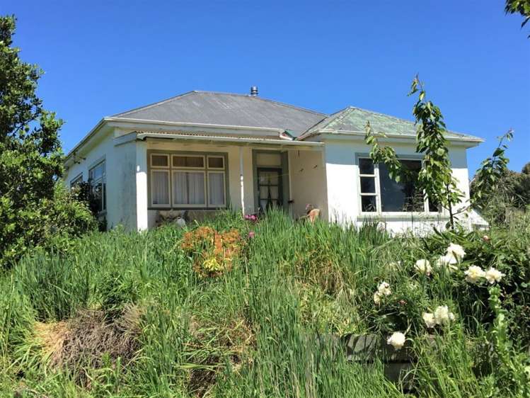 308 Waiwera Station Road Clinton and Surrounds_28