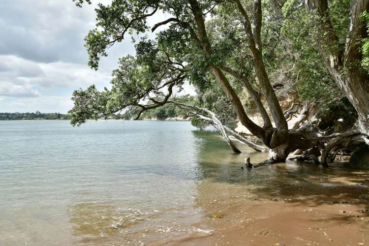 43a Beach Road Stanmore Bay_24