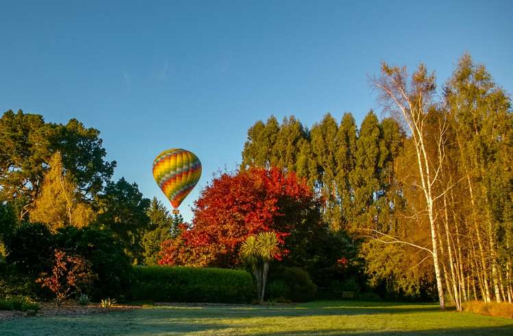 29 Philip Street Carterton_20