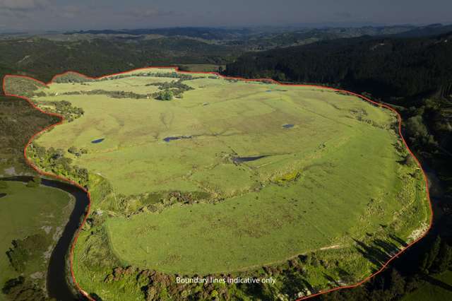 Waihua Valley Wairoa_2