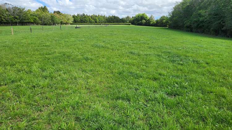 71 Lepper Road Inglewood_11