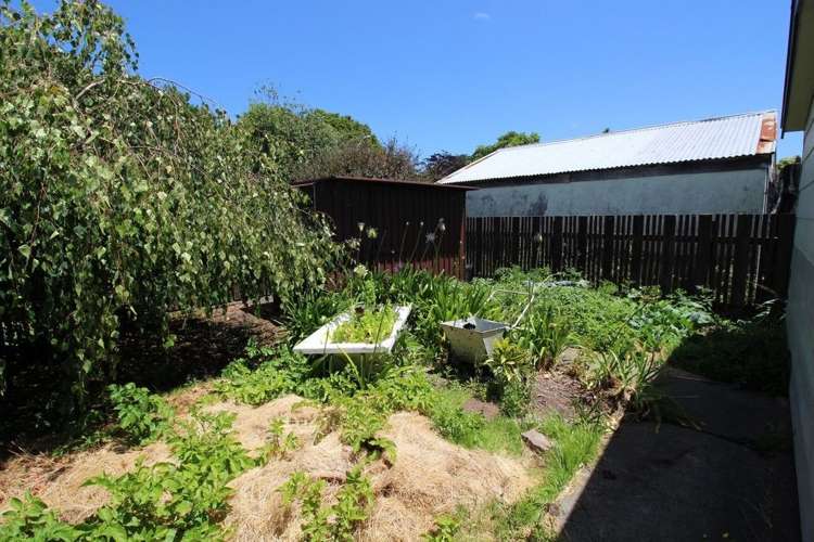 15 Wilson Street Bulls_39