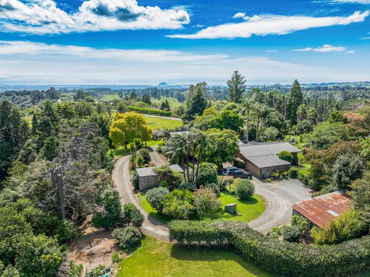 64 Oropi Gorge Road Pyes Pa_38