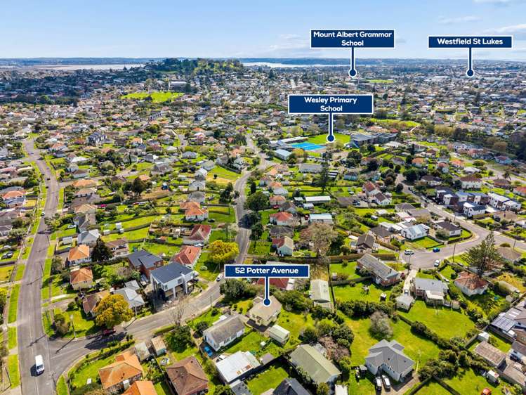 52 Potter Avenue Mt Roskill_5