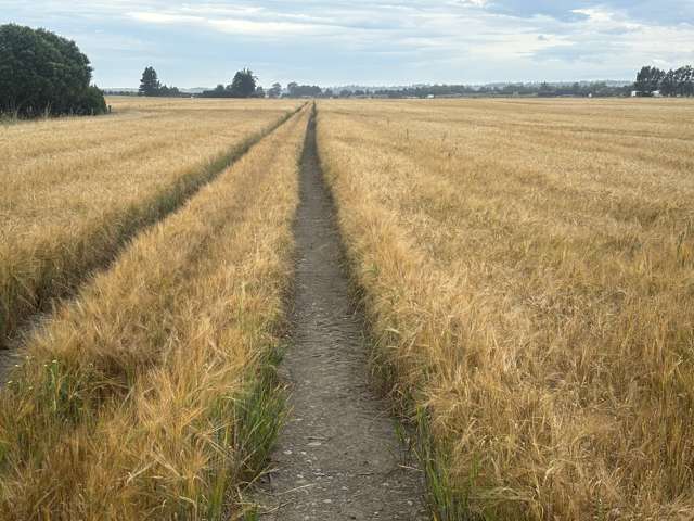 215 Falvey Road Levels_2