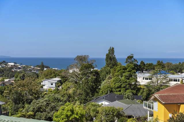 28 Galaxy Drive Mairangi Bay_2