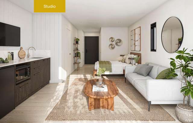 25 Robins Road Queenstown_3