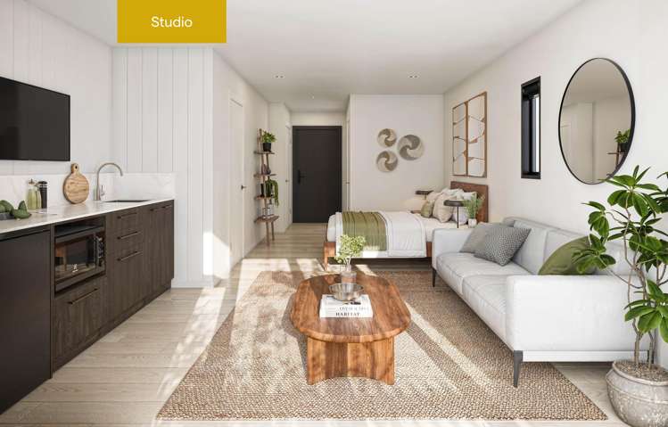 25 Robins Road Queenstown_2