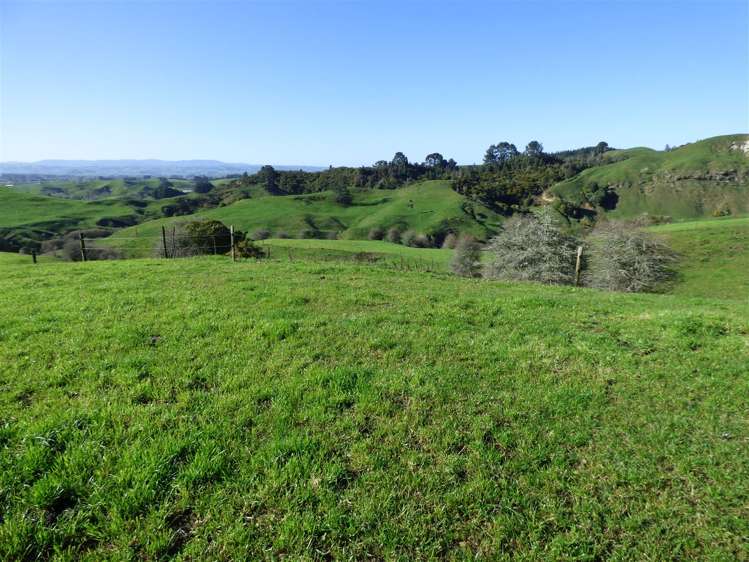 523 Honikiwi Road Otorohanga_20