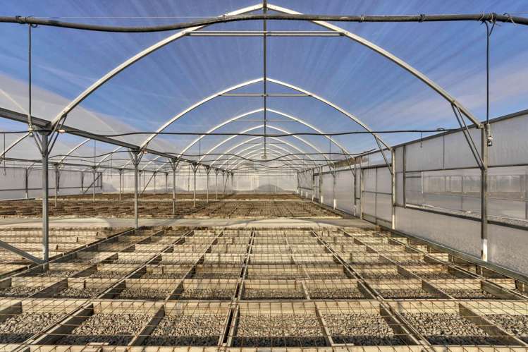 356 Halkett Road West Melton_37