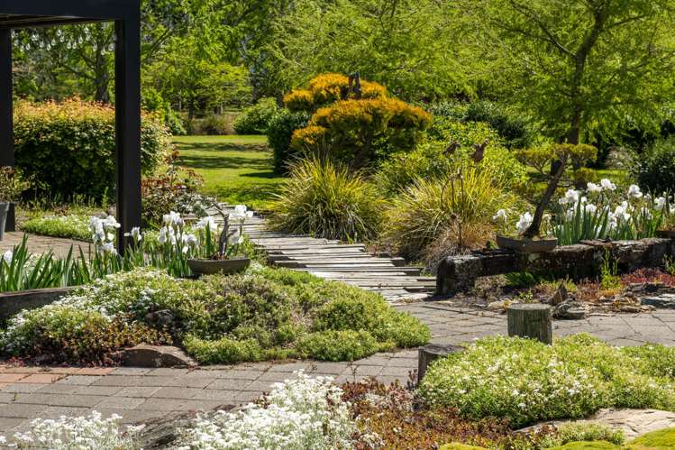 5045 State Highway 63 Wairau Valley_4