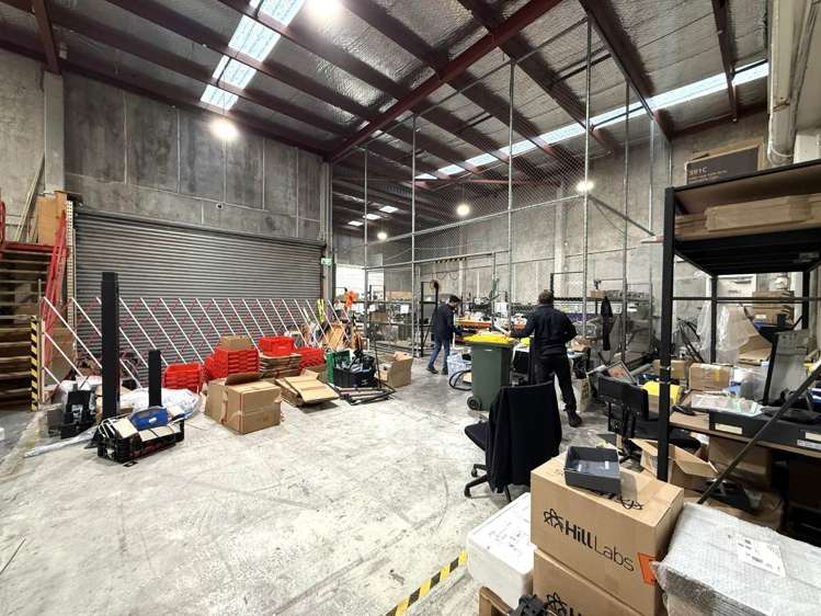 5 Wilkins Street Freemans Bay_5