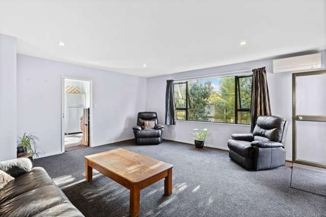 45 Raupo Street Bromley_3