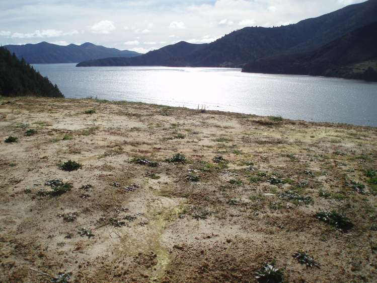 815 Manaroa Road Marlborough Sounds_16