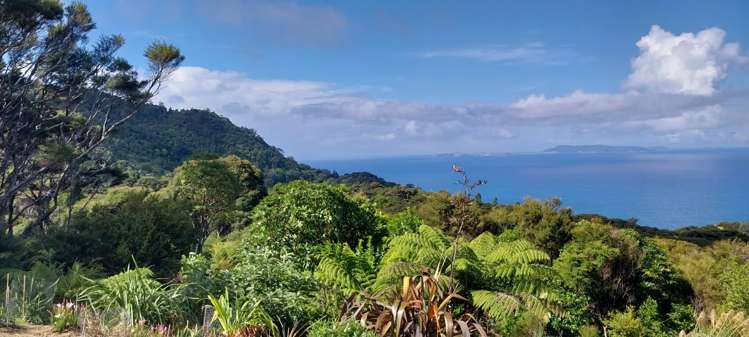 525A Tuateawa Road Tuateawa_30