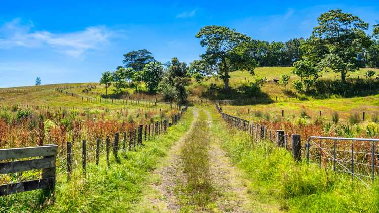 112 Kern Road Ramarama_10