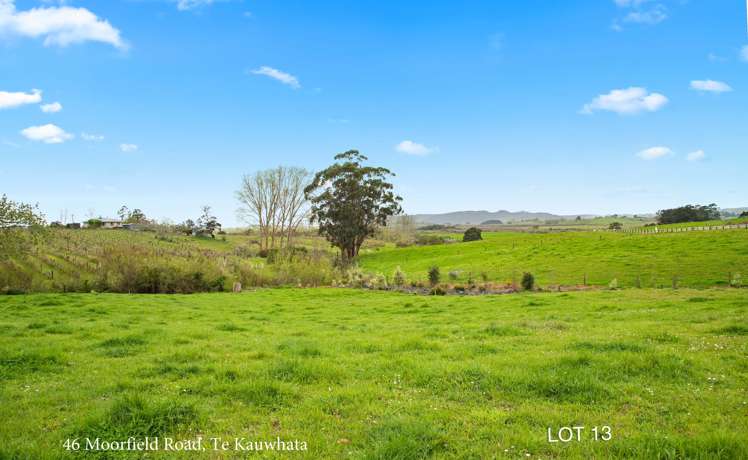 52 Moorfield Road Te Kauwhata_24