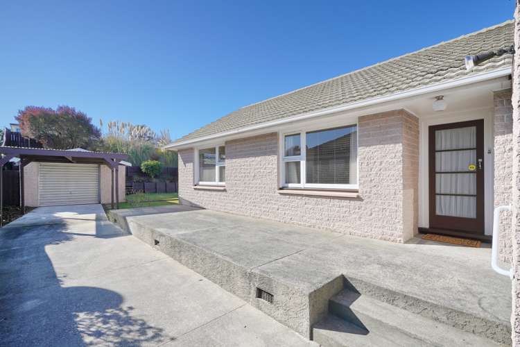 67 Vardon Crescent Shirley_19