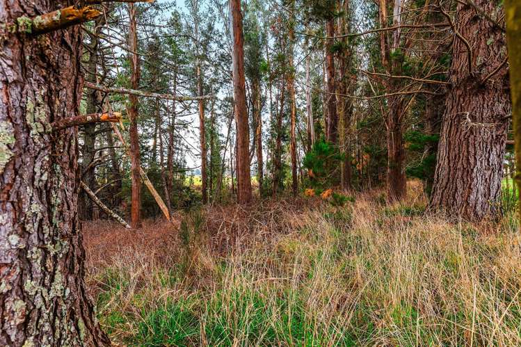 1777 Broadlands Road Broadlands Forest_16