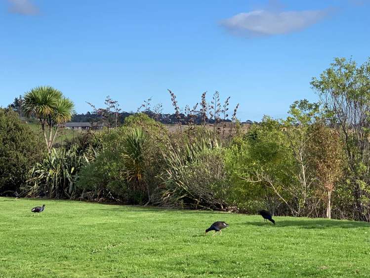 740 Redoubt Road Flat Bush_12