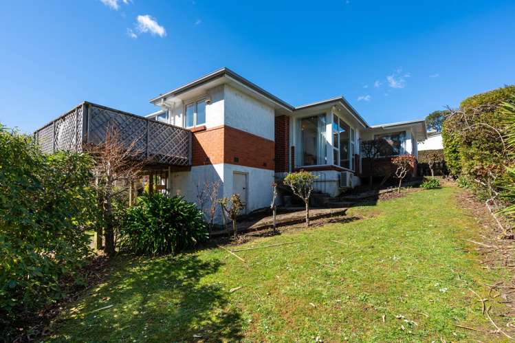 411 Pine Hill Road Pine Hill_20