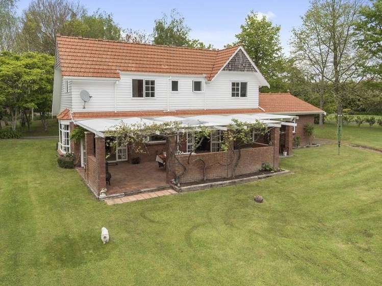 50c Trentham Road Matangi_5