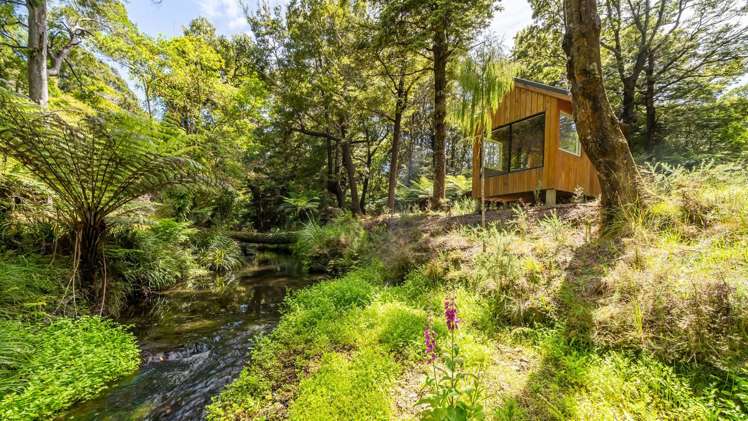 525 Muritai Road Pencarrow Head_13