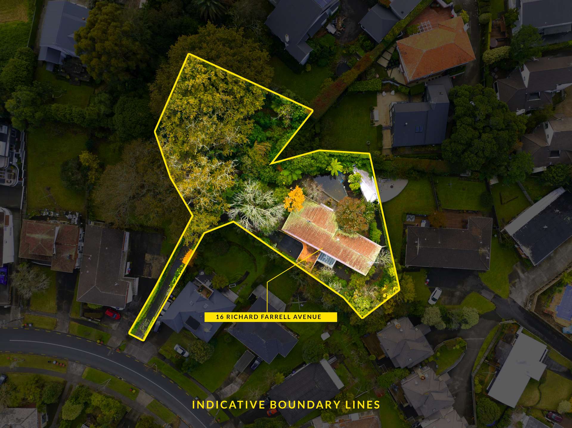 16 Richard Farrell Avenue Remuera_0