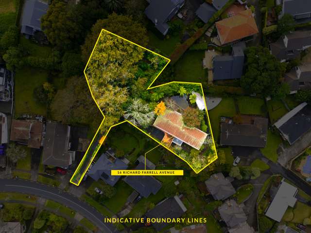 2530m2 of Prime Real Estate in Remuera