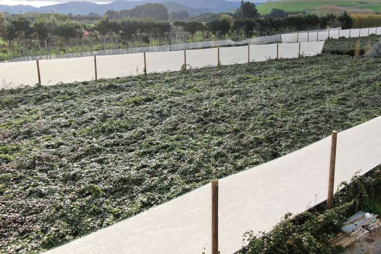 263 Waihi Beach Road Waihi_27