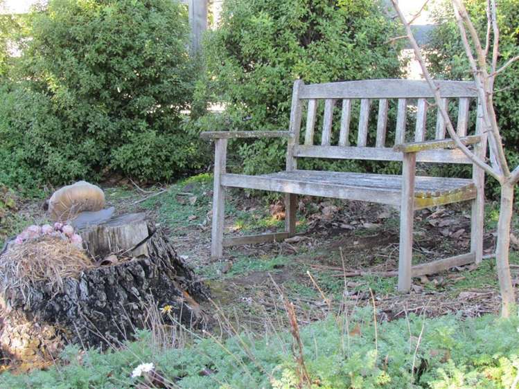 164 Ward Road Cheviot_18